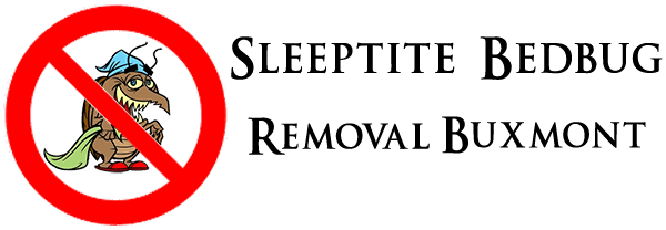 bedbug removal buxmont